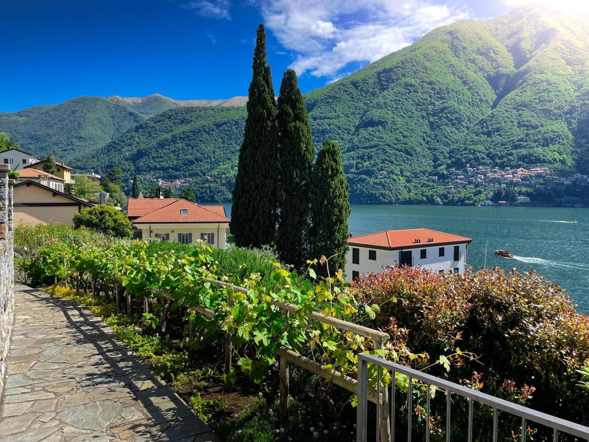 Villa Luminosa Laglio - Private Parking, Garden Eksteriør billede